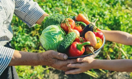 La producción agrícola es vital en la subsistencia de la humanidad