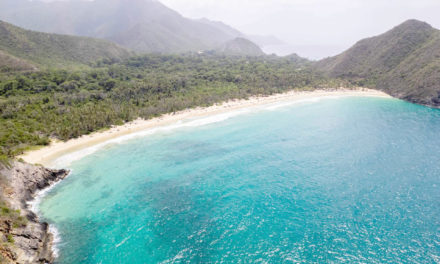 En las playas de Aragua «Dale la cola a tu basura»