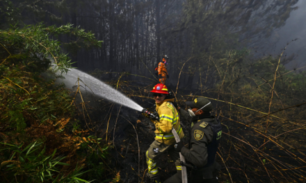 Incendios forestales afectan 10 departamentos de Colombia