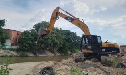 Realizada limpieza en el río Madre Vieja