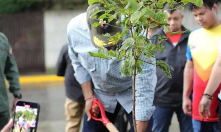 Jefe de Estado siembra árbol de la esperanza para honrar a la juventud venezolana