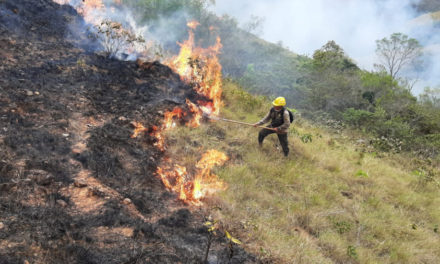 Bolivia declaró emergencia nacional por los intensos incendios forestales