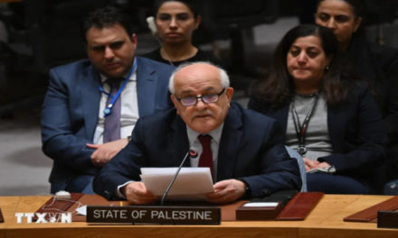 Palestina ocupa asiento en 79º período de sesiones de la ONU