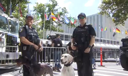 Refuerzan medidas de seguridad en la sede de la ONU