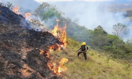 Gobierno de Bolivia declaró emergencia por incendios forestales