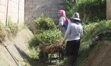 Jornada de limpieza, desmalezado  y recolección de desechos se realizó en Mariño