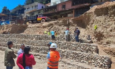 Avanzan trabajos de construcción del muro de gavión en Las Tejerías