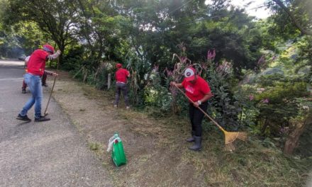 Realizada jornada de limpieza en San Casimiro