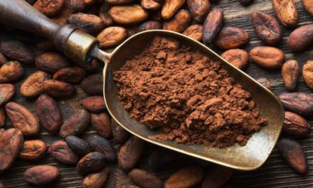 Día Nacional del Cacao promueve producción orgánica en sembradíos