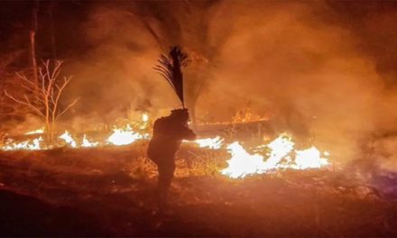 Bolivia redoblará acciones contra incendios forestales