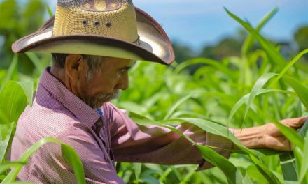 Académico en El Salvador instó a rescate de agricultura