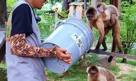 Cuidadores proporcionan comida balanceada a especies del Zoológico Las Delicias