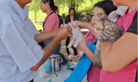 Misión Nevado brindó atención veterinaria a 143 animales 