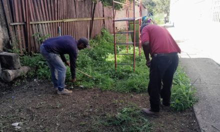 Jornada de limpieza garantiza espacios dignos en Ribas