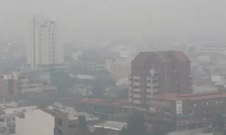 Bolivia presentó avances sobre daños por incendios forestales