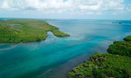 Debaten en Belice sobre conservación marina de estados insulares