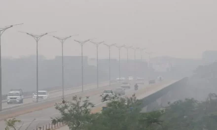 Bolivia logró reducir de 70 a 41 los incendios forestales