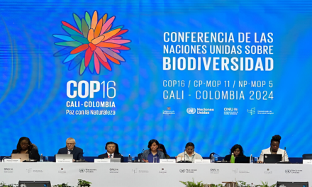 Colombia exige en la COP16 acciones concretas para frenar pérdida de la biodiversidad