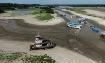 Río Amazonas sufre las consecuencias del cambio climático