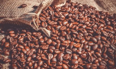 proyectan producción de 840.000 quintales de café en el presente año