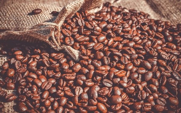 proyectan producción de 840.000 quintales de café en el presente año