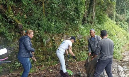 Realizadas labores de limpieza en el eje vial Geremba-Loma Brisa