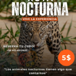 Zoológico de Las Delicias anunció nueva ruta nocturna