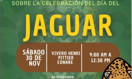 Minec y Conare Aragua celebrarán Día Internacional del Jaguar