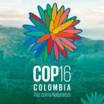 COP16 culminó en Colombia con temas cruciales pendientes en agenda