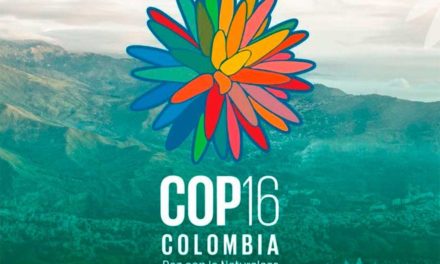 COP16 culminó en Colombia con temas cruciales pendientes en agenda