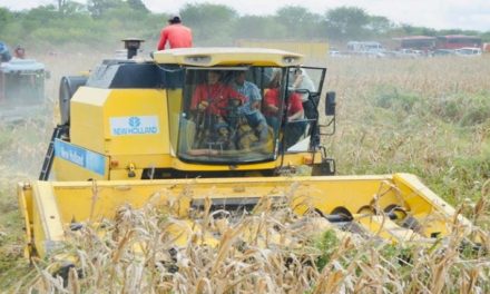 Guárico se posiciona como mayor productor de cereales en todo el país