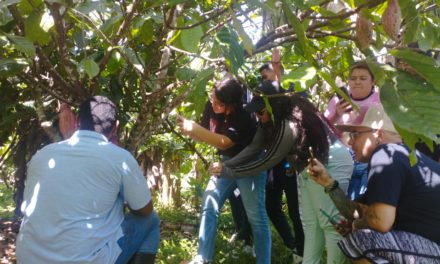 Alumnos de la UNEY desarrollaron prácticas turísticas en Aragua