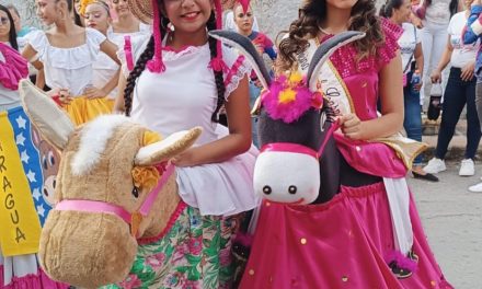 Aragua se vistió de fiesta con XVII encuentro Nacional de Burras y Burriquitas