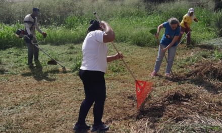 Desplegadas brigadas de mantenimiento en zona sur de La Victoria