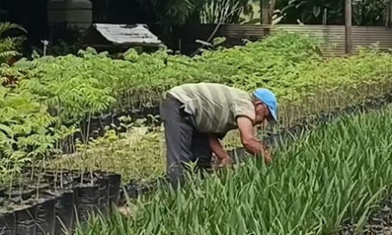 Conare Aragua impulsa conservación del medio ambiente