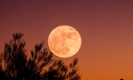 Llega en breve la cuarta y última superluna del 2024