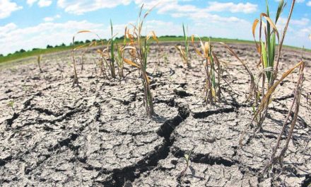 El mundo necesita mil millones de dólares diarios para combatir sequía