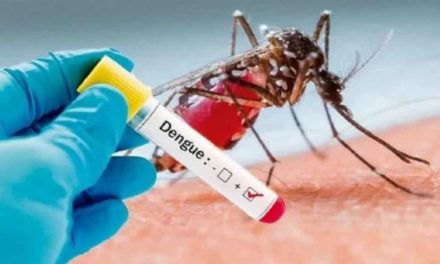 Aumentan casos de dengue en Panamá