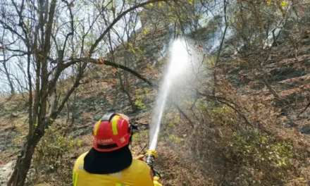 Incendios forestales en Ecuador han afectado más de 1.000 hectáreas