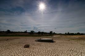 Tres cuartas partes de la tierra se volvieron más secas