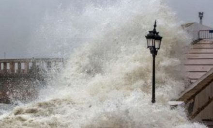 Declaran amenaza de tsunami en costa oeste de Estados Unidos