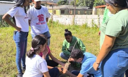 Brigadistas climáticos promueven arborización en escuelas