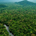 IVIC ofrecerá conferencia sobre afectaciones de la crisis climática a la Amazonía