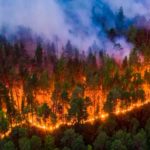 Advierten en Uruguay sobre incendios forestales por alta temperatura