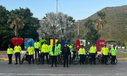 Activado Órgano de Defensa Integral en Ocumare