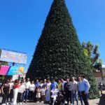 Declarado Patrimonio Cultural Tangible árbol de Navidad de La Victoria