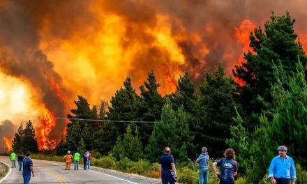 Incendio provocó desalojo masivo de localidad argentina