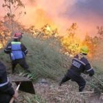 Prevención contra incendios forestales es prioridad en Aragua