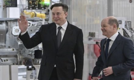 Canciller alemán califica a Elon Musk de «Troll» peligroso