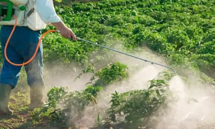 Fumigaciones con pesticidas dejó enfermos en el Campamento 8 de Marzo, Brasil